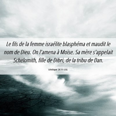 Picture 06 - Lévitique 24:11 LSG - Le fils de la femme israélite blasphéma et - Bible Verse Picture