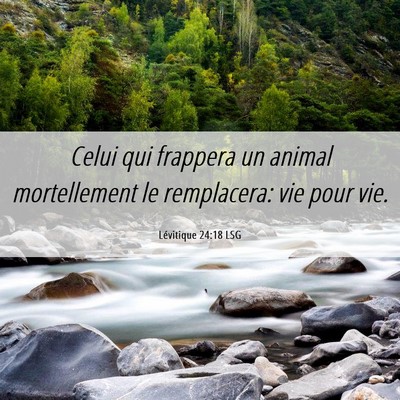 Picture 06 - Lévitique 24:18 LSG - Celui qui frappera un animal mortellement le - Bible Verse Picture