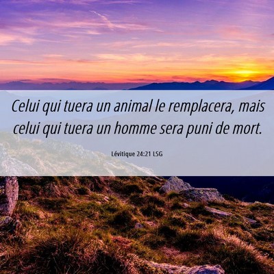 Picture 06 - Lévitique 24:21 LSG - Celui qui tuera un animal le remplacera, mais - Bible Verse Picture