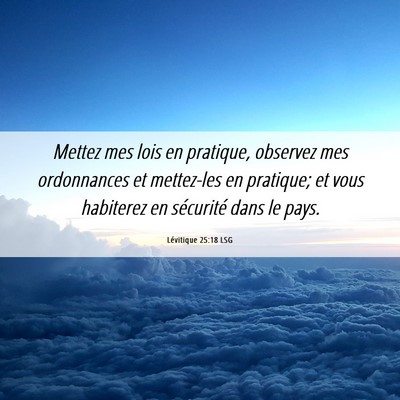 Picture 06 - Lévitique 25:18 LSG - Mettez mes lois en pratique, observez mes - Bible Verse Picture