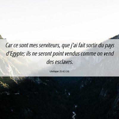 Picture 06 - Lévitique 25:42 LSG - Car ce sont mes serviteurs, que j'ai fait sortir - Bible Verse Picture