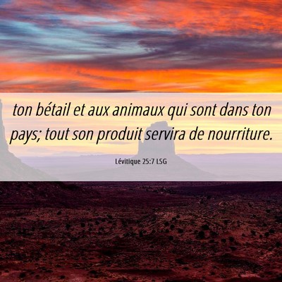 Picture 06 - Lévitique 25:7 LSG - ton bétail et aux animaux qui sont dans ton - Bible Verse Picture
