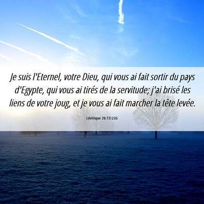 Picture 06 - Lévitique 26:13 LSG - Je suis l'Eternel, votre Dieu, qui vous ai fait - Bible Verse Picture