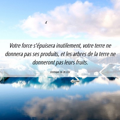 Picture 06 - Lévitique 26:20 LSG - Votre force s'épuisera inutilement, votre terre - Bible Verse Picture