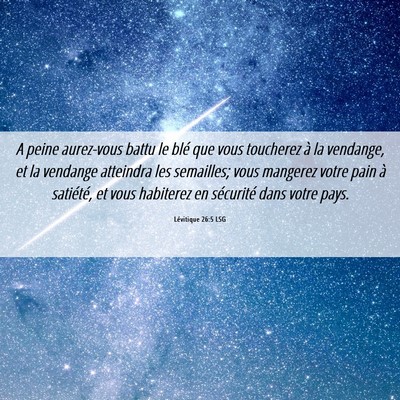 Picture 06 - Lévitique 26:5 LSG - A peine aurez-vous battu le blé que vous - Bible Verse Picture