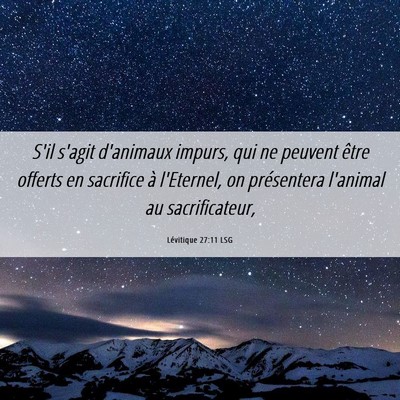 Picture 06 - Lévitique 27:11 LSG - S'il s'agit d'animaux impurs, qui ne peuvent - Bible Verse Picture