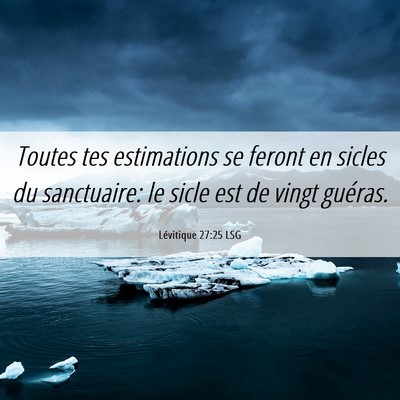 Picture 06 - Lévitique 27:25 LSG - Toutes tes estimations se feront en sicles du - Bible Verse Picture