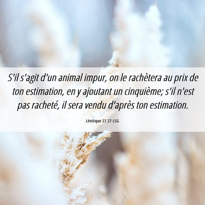 Picture 06 - Lévitique 27:27 LSG - S'il s'agit d'un animal impur, on le rachètera - Bible Verse Picture