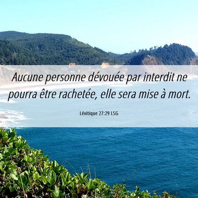 Picture 06 - Lévitique 27:29 LSG - Aucune personne dévouée par interdit ne pourra - Bible Verse Picture