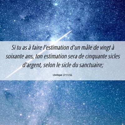 Picture 06 - Lévitique 27:3 LSG - Si tu as à faire l'estimation d'un mâle de - Bible Verse Picture