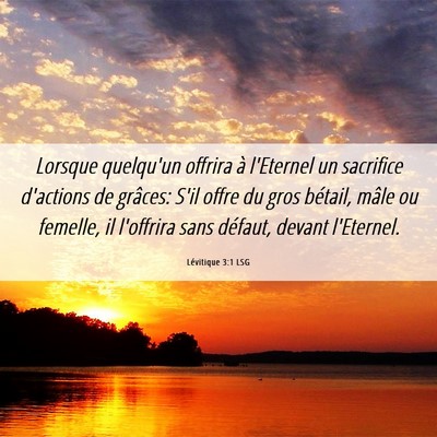 Picture 06 - Lévitique 3:1 LSG - Lorsque quelqu'un offrira à l'Eternel un - Bible Verse Picture