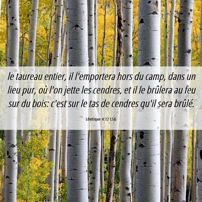 Picture 06 - Lévitique 4:12 LSG - le taureau entier, il l'emportera hors du camp, - Bible Verse Picture