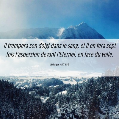 Picture 06 - Lévitique 4:17 LSG - il trempera son doigt dans le sang, et il en fera - Bible Verse Picture