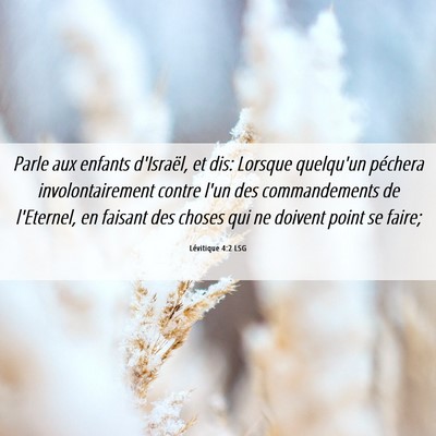 Picture 06 - Lévitique 4:2 LSG - Parle aux enfants d'Israël, et dis: Lorsque - Bible Verse Picture