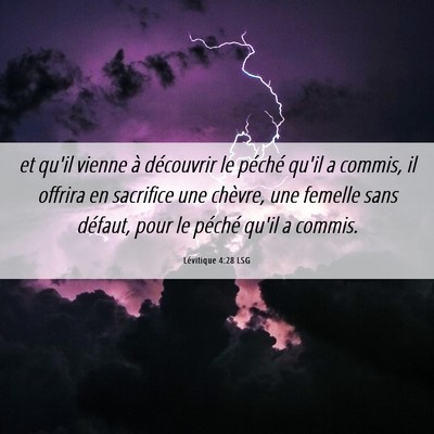 Picture 06 - Lévitique 4:28 LSG - et qu'il vienne à découvrir le péché qu'il a - Bible Verse Picture