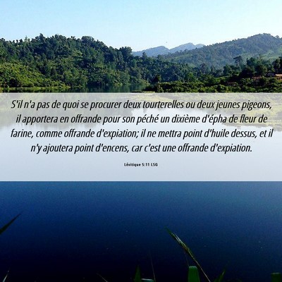 Picture 06 - Lévitique 5:11 LSG - S'il n'a pas de quoi se procurer deux - Bible Verse Picture