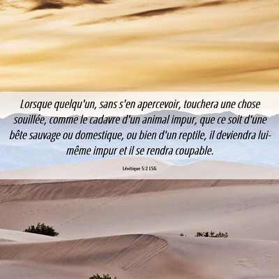 Picture 06 - Lévitique 5:2 LSG - Lorsque quelqu'un, sans s'en apercevoir, touchera - Bible Verse Picture