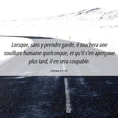 Picture 06 - Lévitique 5:3 LSG - Lorsque, sans y prendre garde, il touchera une - Bible Verse Picture