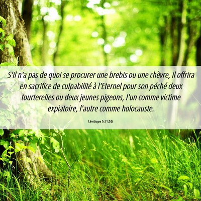 Picture 06 - Lévitique 5:7 LSG - S'il n'a pas de quoi se procurer une brebis ou - Bible Verse Picture