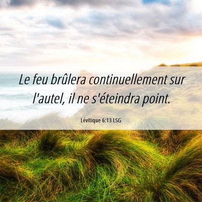Picture 06 - Lévitique 6:13 LSG - Le feu brûlera continuellement sur l'autel, il - Bible Verse Picture