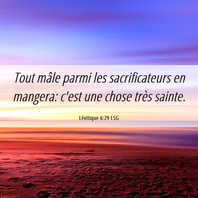 Picture 06 - Lévitique 6:29 LSG - Tout mâle parmi les sacrificateurs en mangera: - Bible Verse Picture