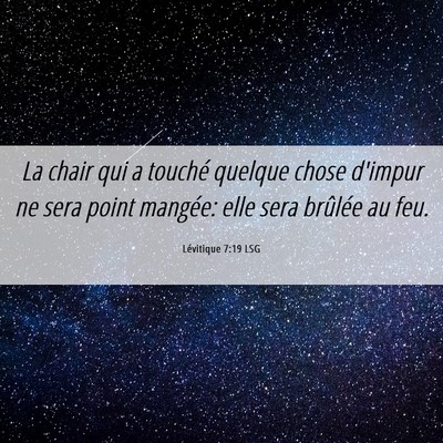 Picture 06 - Lévitique 7:19 LSG - La chair qui a touché quelque chose d'impur ne - Bible Verse Picture