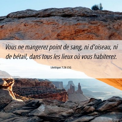 Picture 06 - Lévitique 7:26 LSG - Vous ne mangerez point de sang, ni d'oiseau, ni - Bible Verse Picture