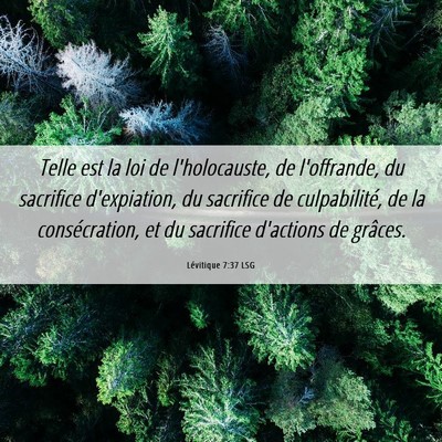 Picture 06 - Lévitique 7:37 LSG - Telle est la loi de l'holocauste, de l'offrande, - Bible Verse Picture