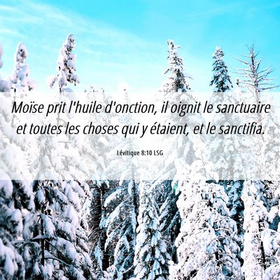 Picture 06 - Lévitique 8:10 LSG - Moïse prit l'huile d'onction, il oignit le - Bible Verse Picture