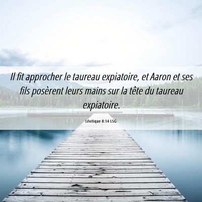 Picture 06 - Lévitique 8:14 LSG - Il fit approcher le taureau expiatoire, et Aaron - Bible Verse Picture