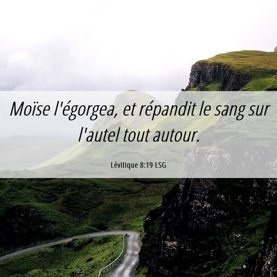 Picture 06 - Lévitique 8:19 LSG - Moïse l'égorgea, et répandit le sang sur - Bible Verse Picture
