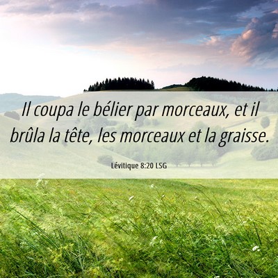 Picture 06 - Lévitique 8:20 LSG - Il coupa le bélier par morceaux, et il brûla la - Bible Verse Picture