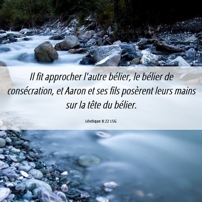 Picture 06 - Lévitique 8:22 LSG - Il fit approcher l'autre bélier, le bélier de - Bible Verse Picture