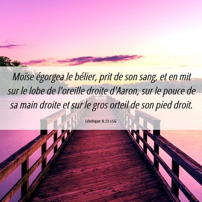 Picture 06 - Lévitique 8:23 LSG - Moïse égorgea le bélier, prit de son sang, et - Bible Verse Picture