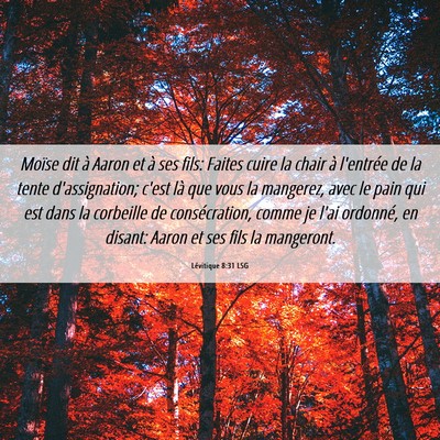 Picture 06 - Lévitique 8:31 LSG - Moïse dit à Aaron et à ses fils: Faites cuire - Bible Verse Picture