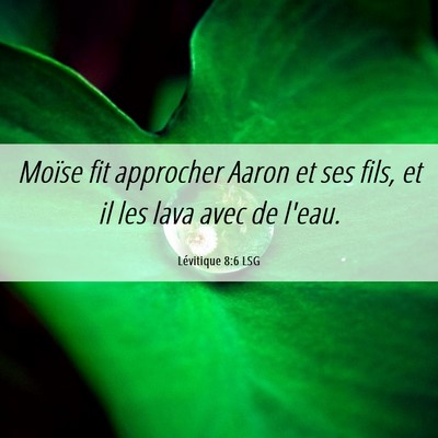 Picture 06 - Lévitique 8:6 LSG - Moïse fit approcher Aaron et ses fils, et il les - Bible Verse Picture