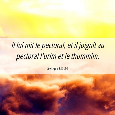 Picture 06 - Lévitique 8:8 LSG - Il lui mit le pectoral, et il joignit au pectoral - Bible Verse Picture