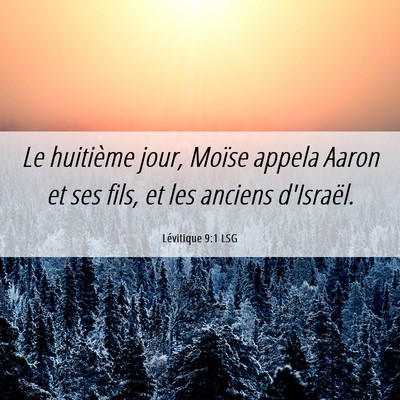 Picture 06 - Lévitique 9:1 LSG - Le huitième jour, Moïse appela Aaron et ses - Bible Verse Picture