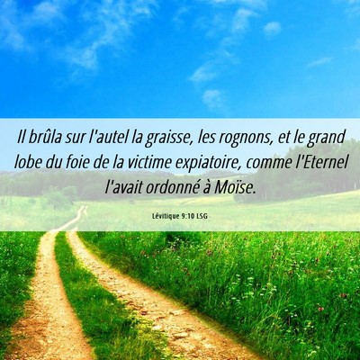 Picture 06 - Lévitique 9:10 LSG - Il brûla sur l'autel la graisse, les rognons, et - Bible Verse Picture