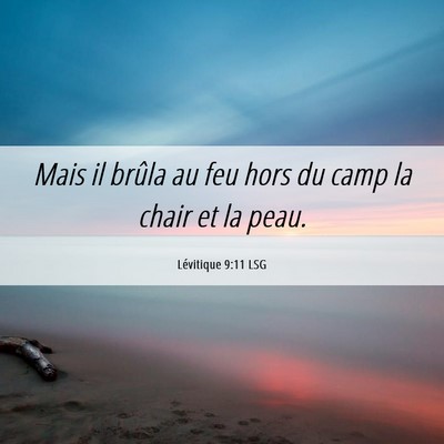Picture 06 - Lévitique 9:11 LSG - Mais il brûla au feu hors du camp la chair et la - Bible Verse Picture