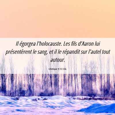 Picture 06 - Lévitique 9:12 LSG - Il égorgea l'holocauste. Les fils d'Aaron lui - Bible Verse Picture
