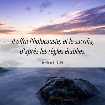 Picture 06 - Lévitique 9:16 LSG - Il offrit l'holocauste, et le sacrifia, d'après - Bible Verse Picture