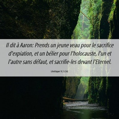 Picture 06 - Lévitique 9:2 LSG - Il dit à Aaron: Prends un jeune veau pour le - Bible Verse Picture