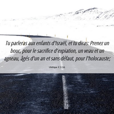 Picture 06 - Lévitique 9:3 LSG - Tu parleras aux enfants d'Israël, et tu diras: - Bible Verse Picture