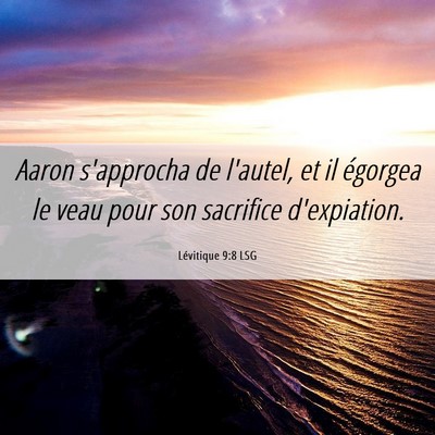 Picture 06 - Lévitique 9:8 LSG - Aaron s'approcha de l'autel, et il égorgea le - Bible Verse Picture
