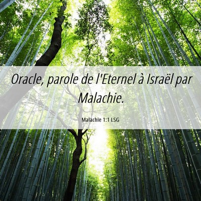 Picture 06 - Malachie 1:1 LSG - Oracle, parole de l'Eternel à Israël par - Bible Verse Picture