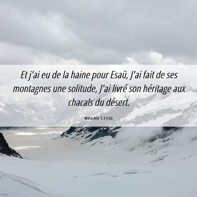 Picture 06 - Malachie 1:3 LSG - Et j'ai eu de la haine pour Esaü, J'ai fait de - Bible Verse Picture