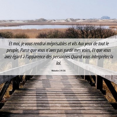 Picture 06 - Malachie 2:9 LSG - Et moi, je vous rendrai méprisables et vils Aux - Bible Verse Picture