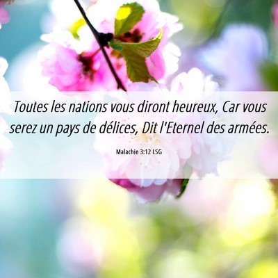 Picture 06 - Malachie 3:12 LSG - Toutes les nations vous diront heureux, Car vous - Bible Verse Picture