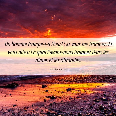 Picture 06 - Malachie 3:8 LSG - Un homme trompe-t-il Dieu? Car vous me trompez, - Bible Verse Picture
